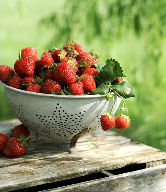 Where To Pick Strawberries Right Now, Quick Jam Recipe, Plus Things To Do This Month