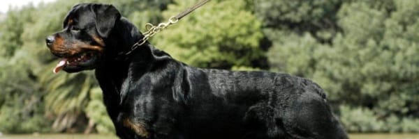 Adventuring through the Canadian Rockies