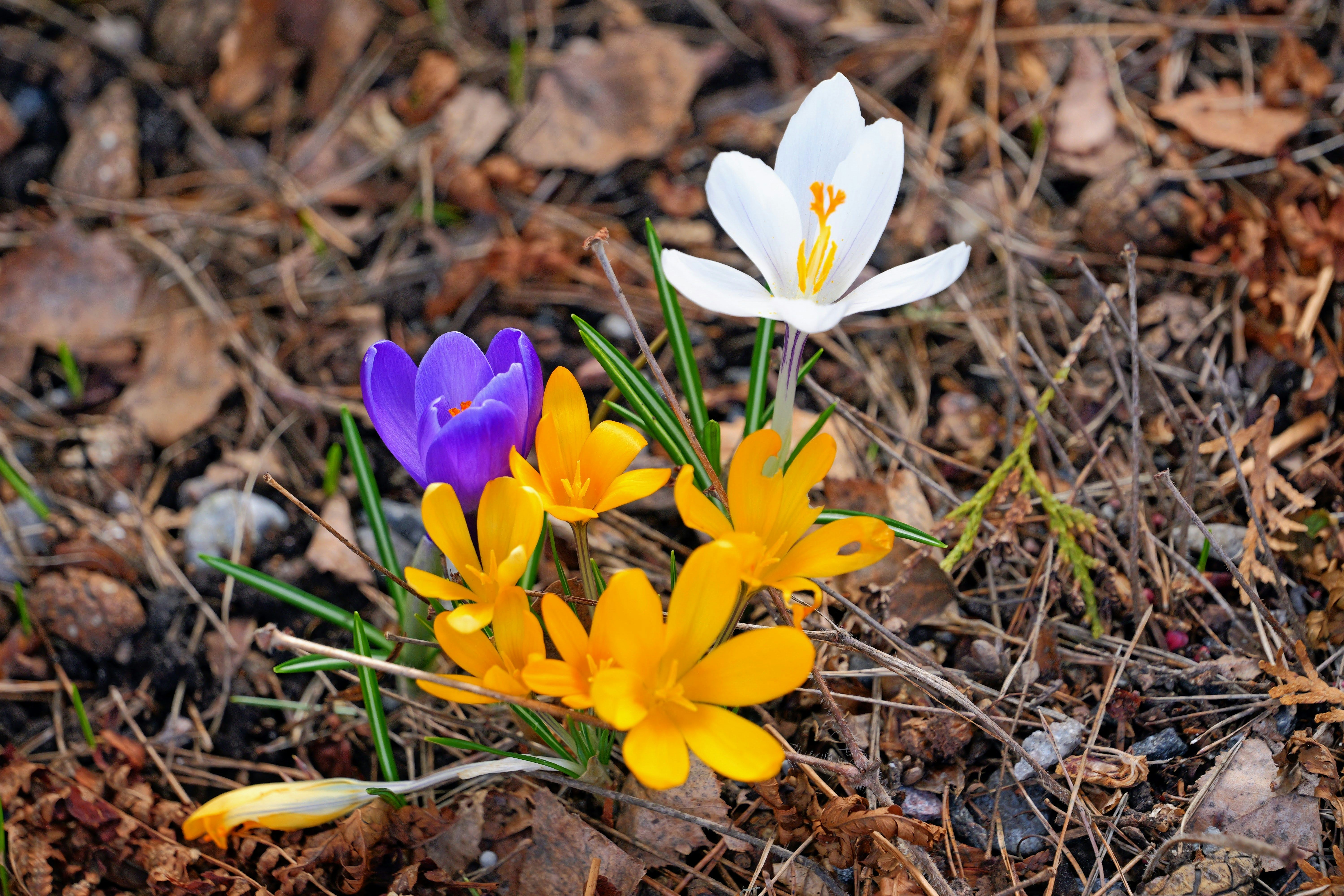 Humans make mistakes. That's the point.