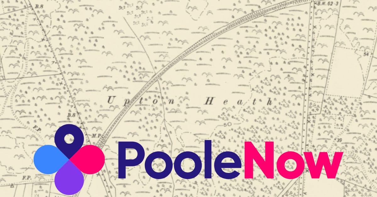 🌊Save Upton Heath, elections coming and a big weekend ahead