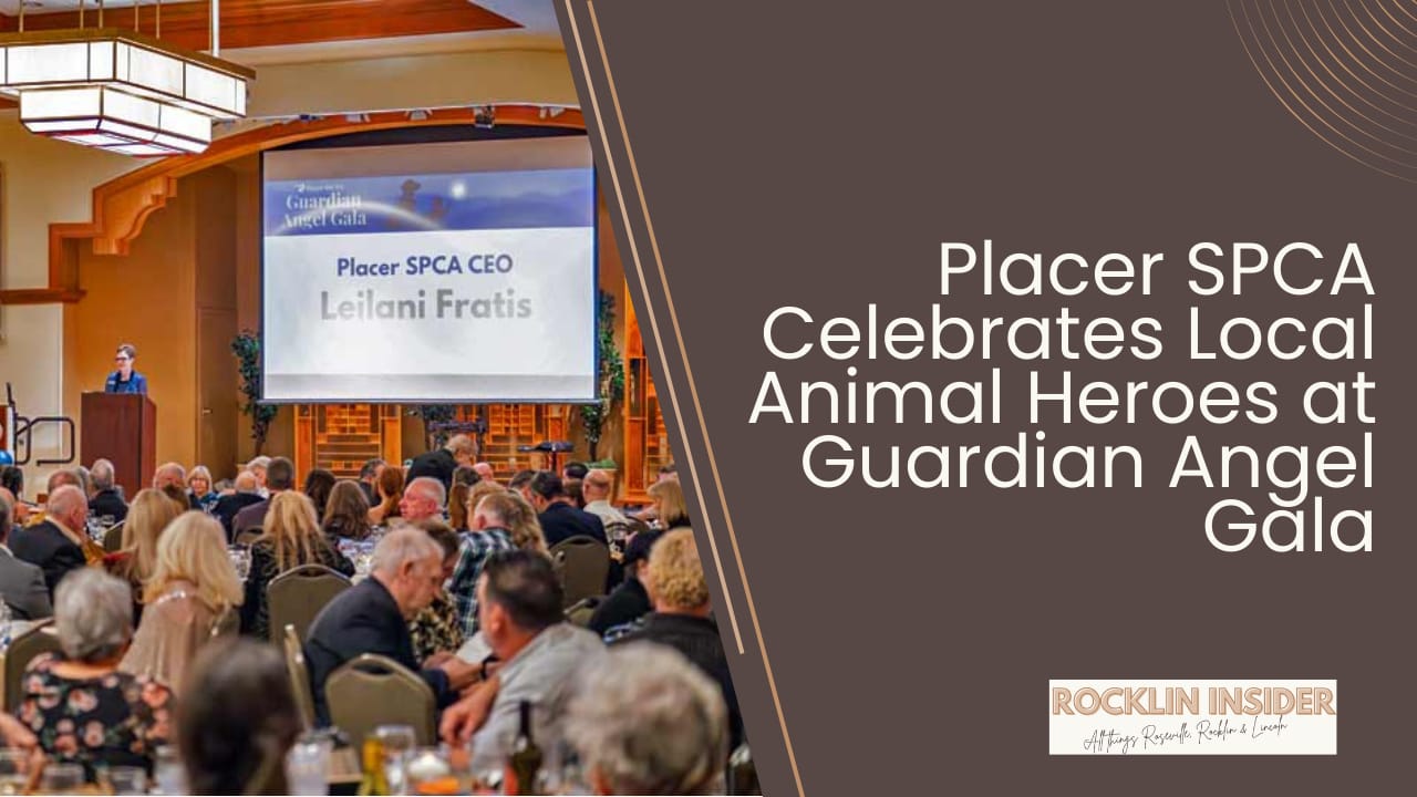 Lincoln’s best bar food isn't a secret anymore