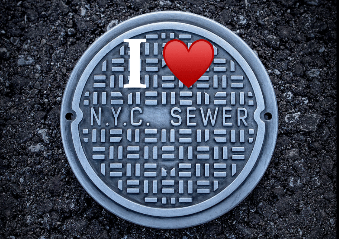 Getting Ready for Rain and Wind