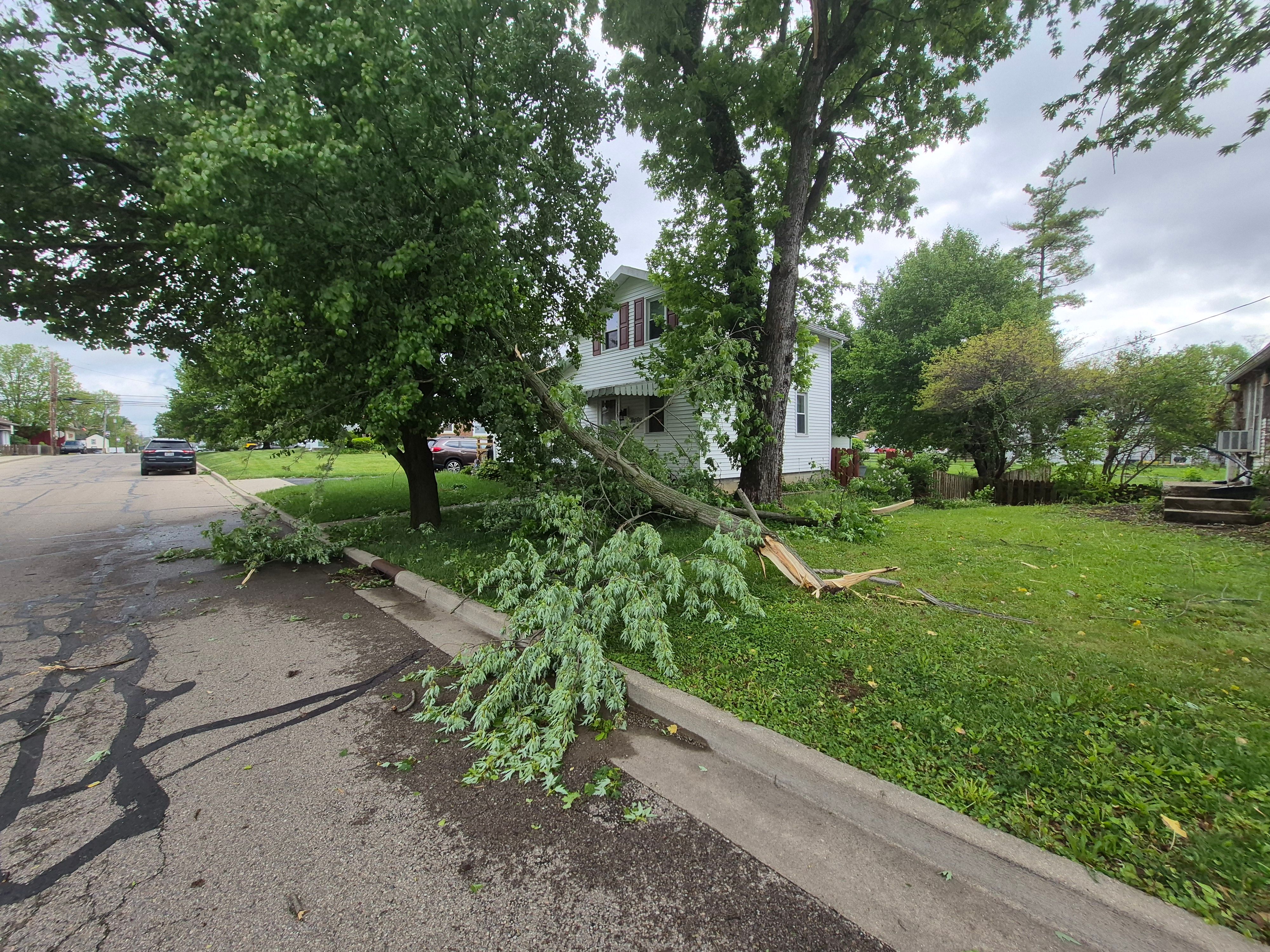 Wind and Rain Disrupt Power, Down Limbs