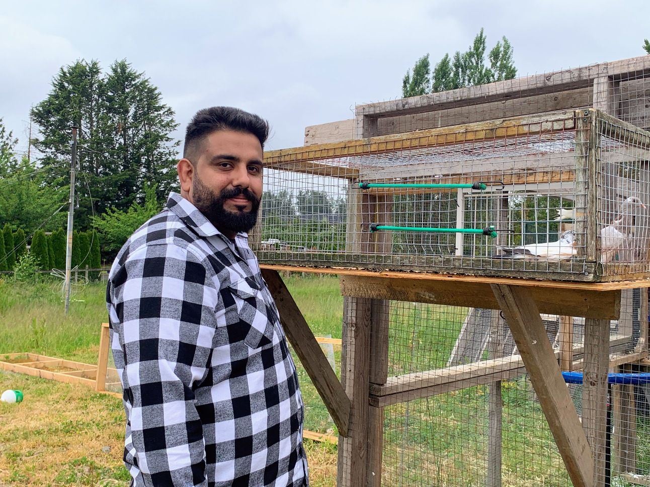 Abbotsford doesn't allow pet pigeons. Chicken farmers want it to stay that way.