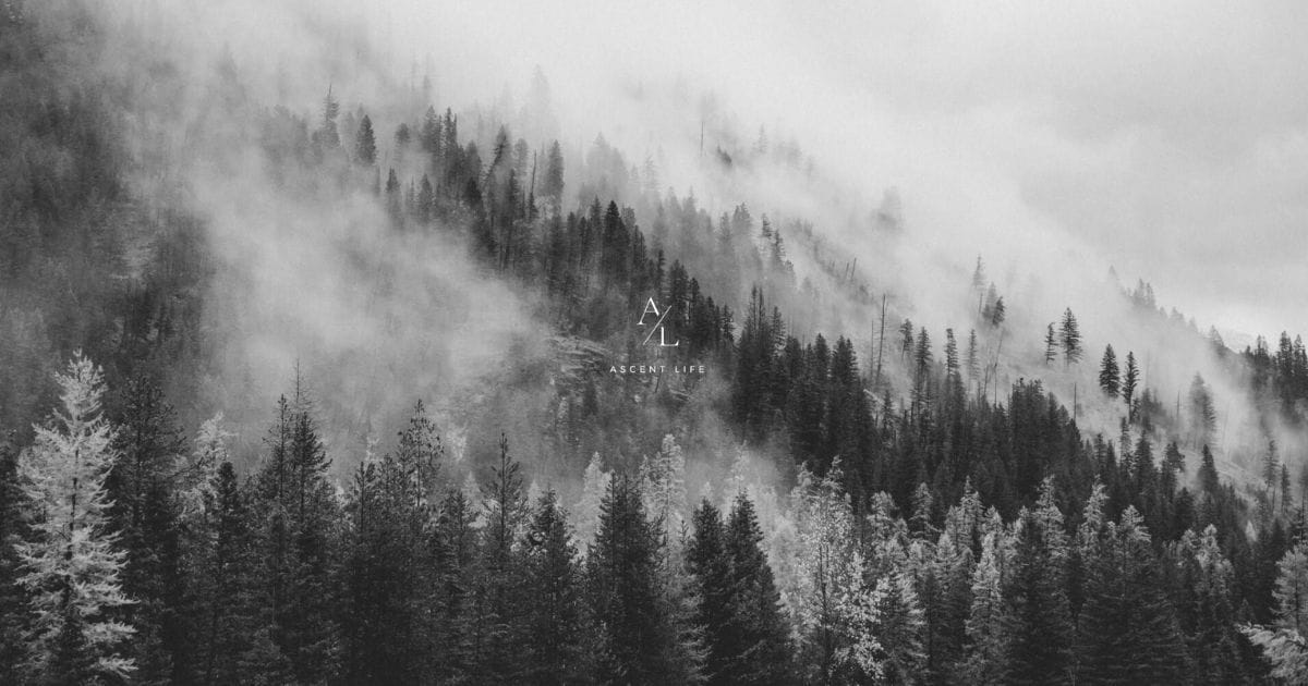 Adventuring through the Canadian Rockies