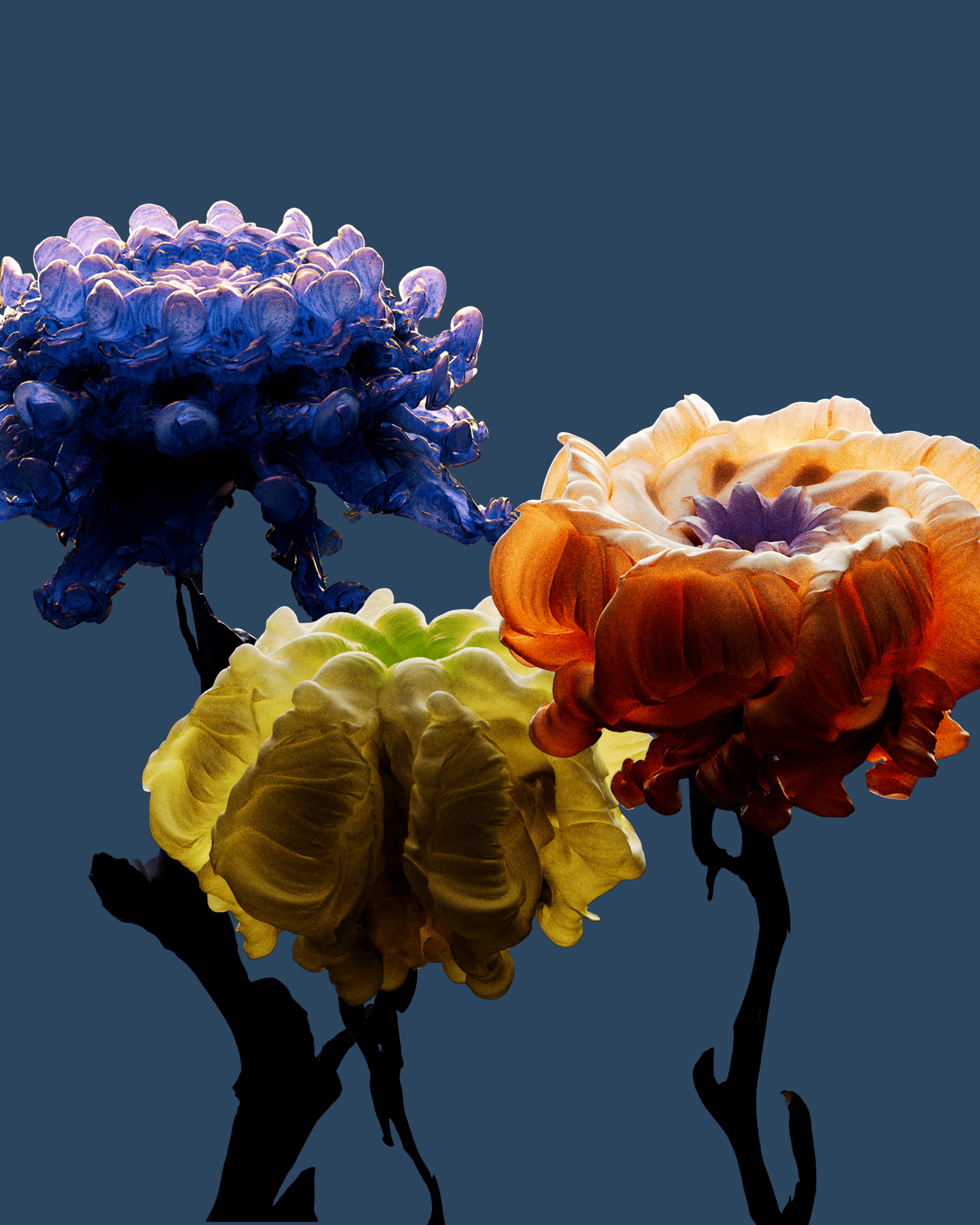 曖昧な花 - Ambiguous Flower