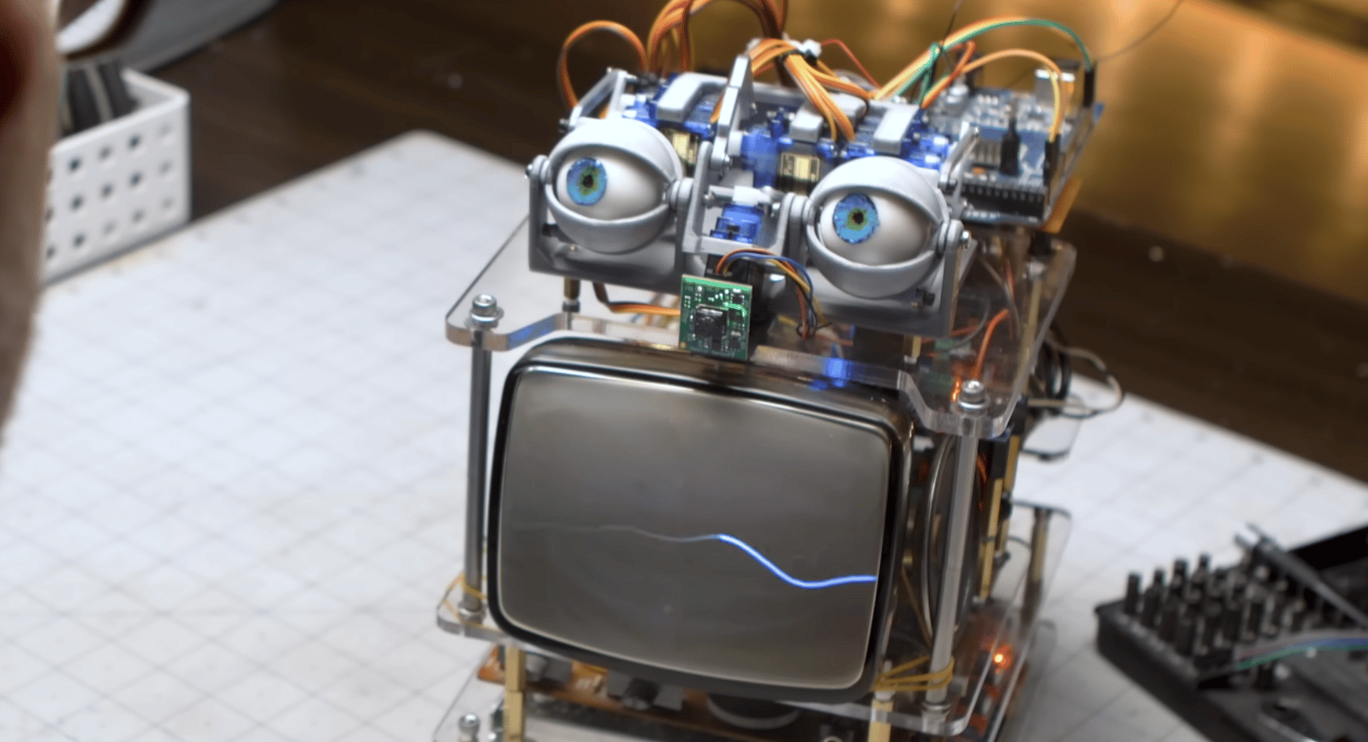 Who Is Responsible When the Software Acts?