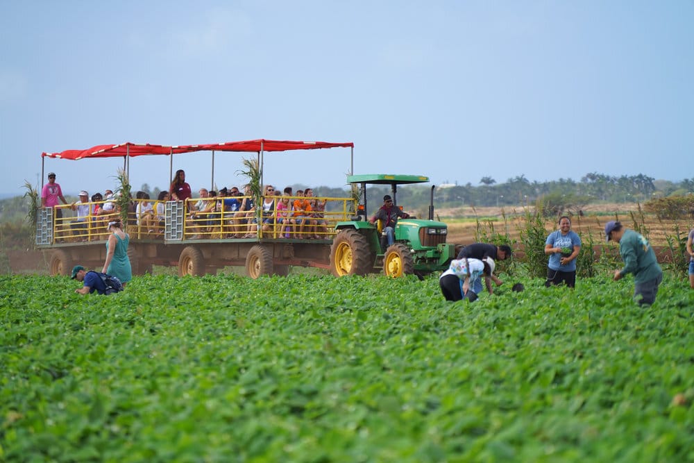 🌺 Honolulu Daily Pulse – Tuesday, October 14, 2025