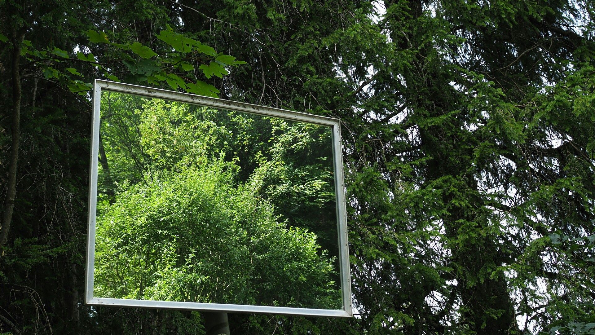 What does your AI value?