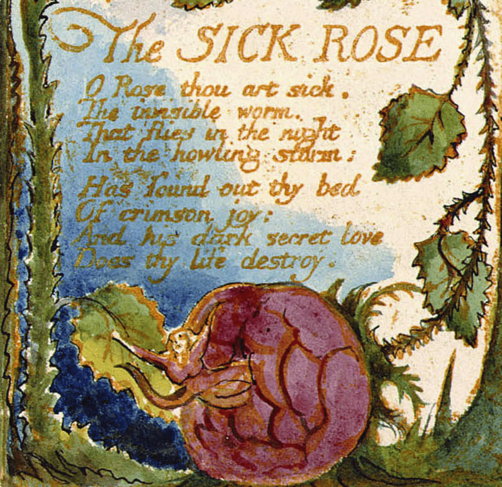 O Rose Thou Art Sick