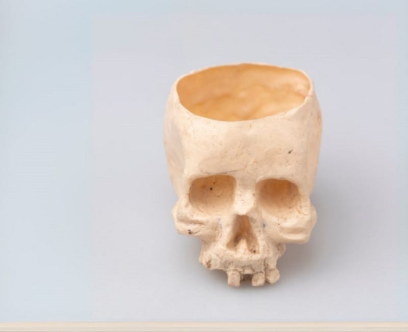 Adventuring through the Canadian Rockies