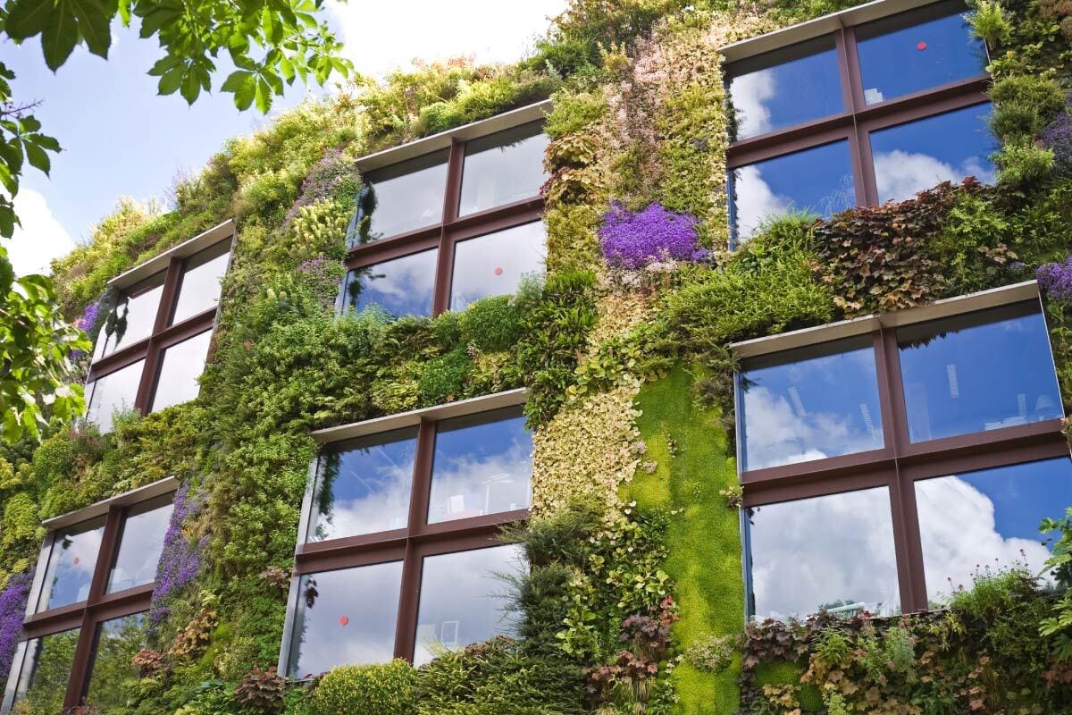 A High-Tech Solution for the Living-Wall Problem