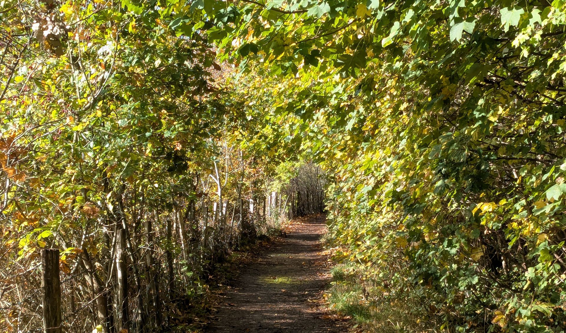 Adventuring through the Canadian Rockies