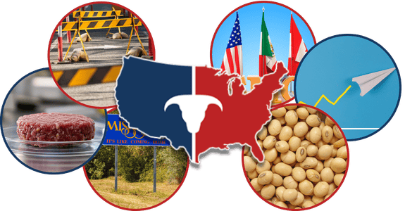 CATTLEUSA DRIVE - Friday, February 6th