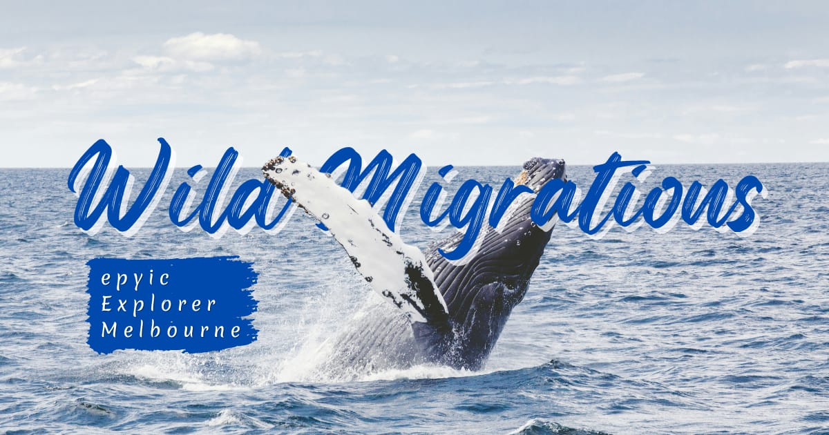 Adventuring through the Canadian Rockies