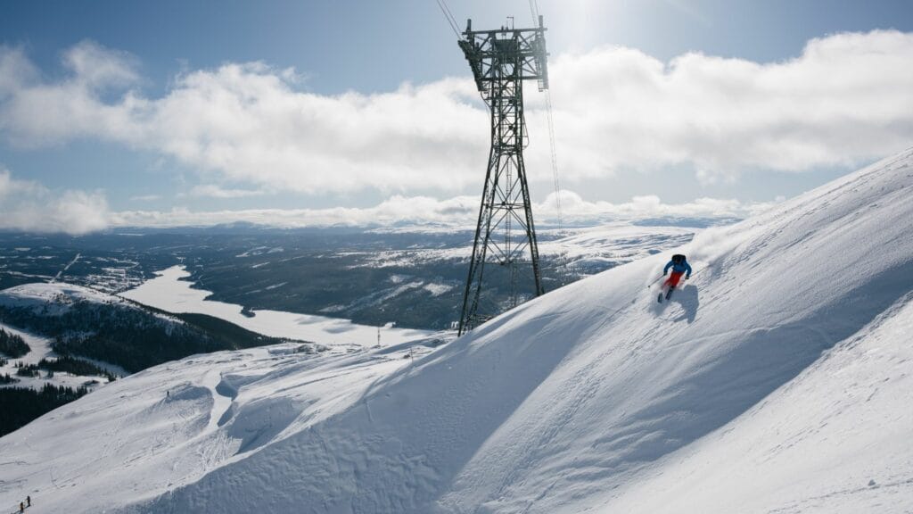 The Old Country Newsletter – A Question to You, Dear Reader