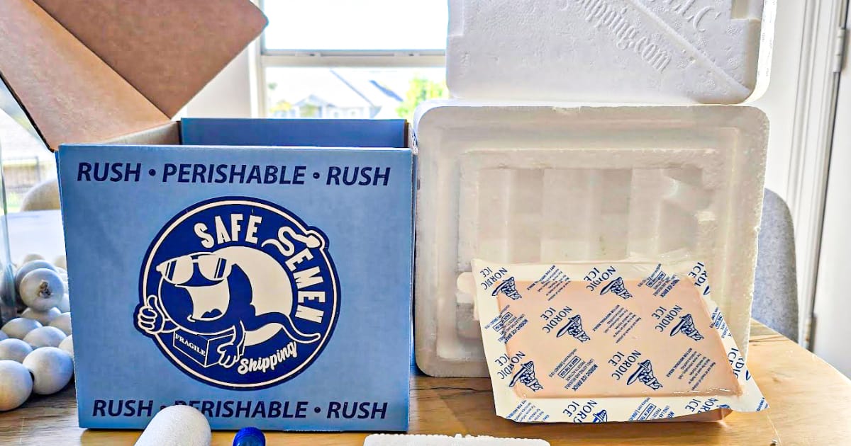 Adventuring through the Canadian Rockies