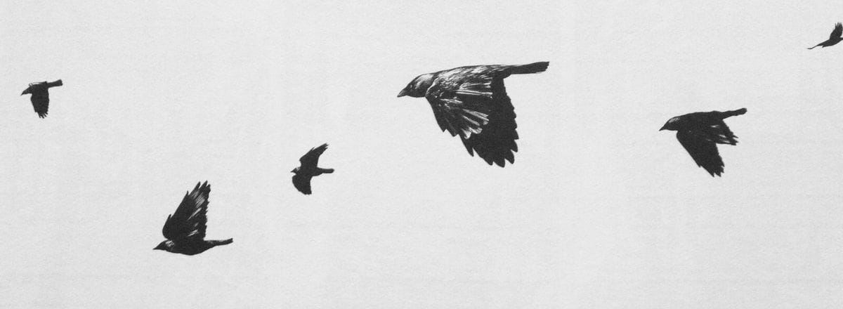 Adventuring through the Canadian Rockies