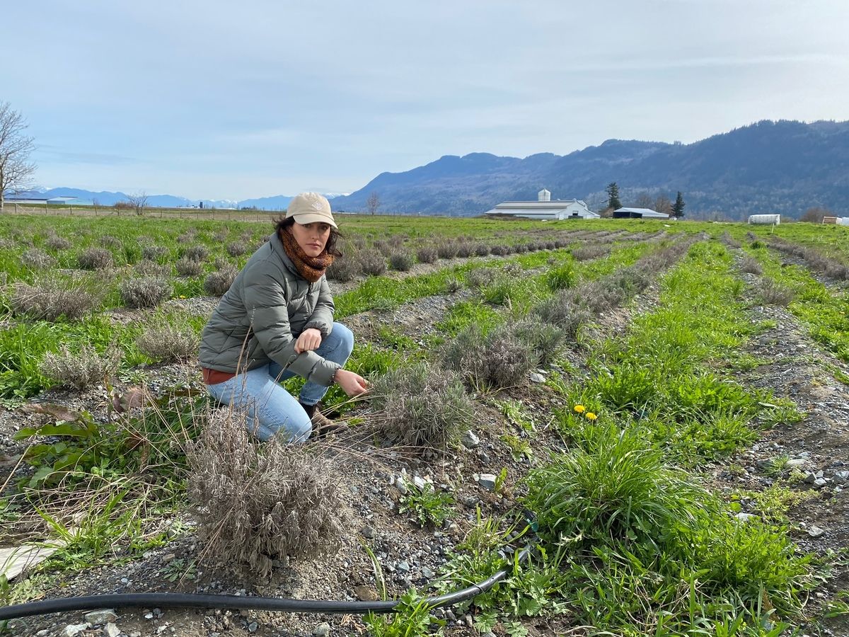 ‘Like a waterfall’: A first-person account of living through a flood