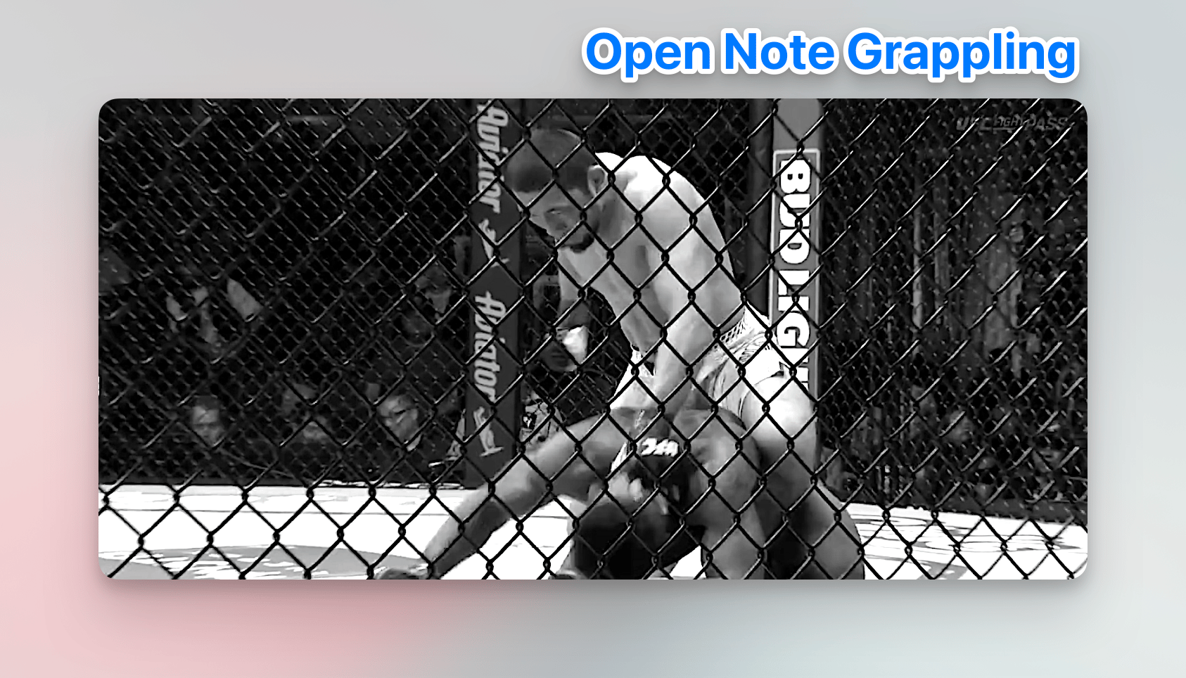 19 Takedowns, 1 Fight