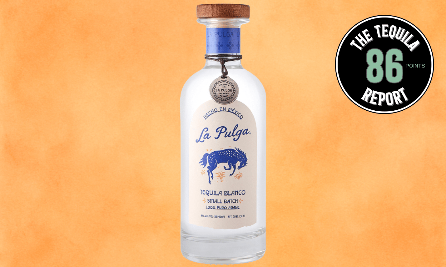 Adventuring through the Canadian Rockies