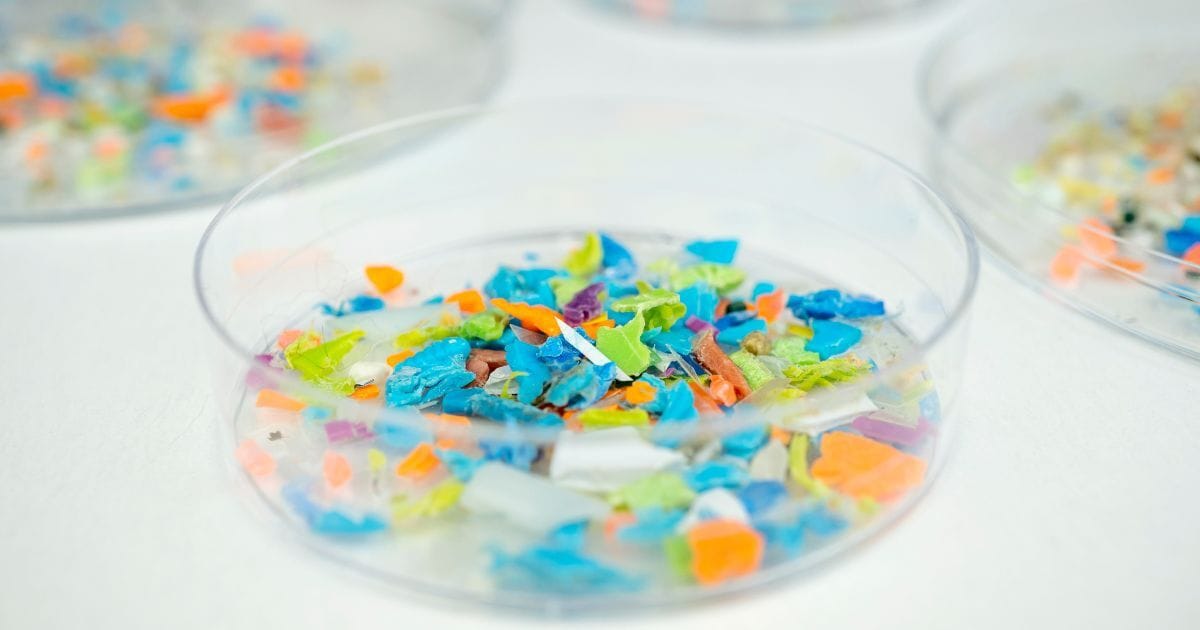 Adventuring through the Canadian Rockies