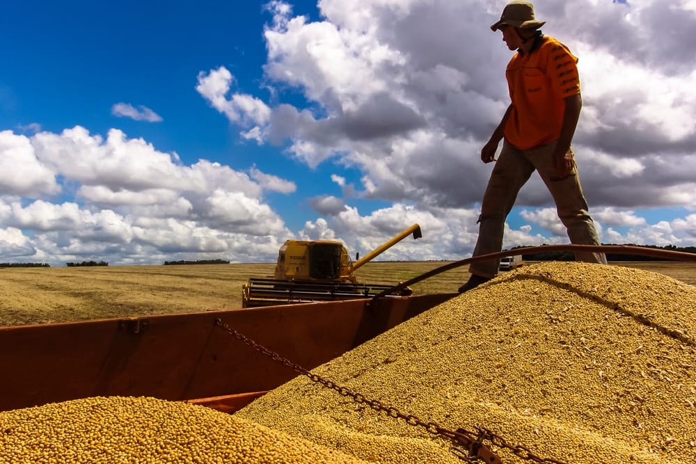 Brazil’s soybeans caught in a sanitary snafu
