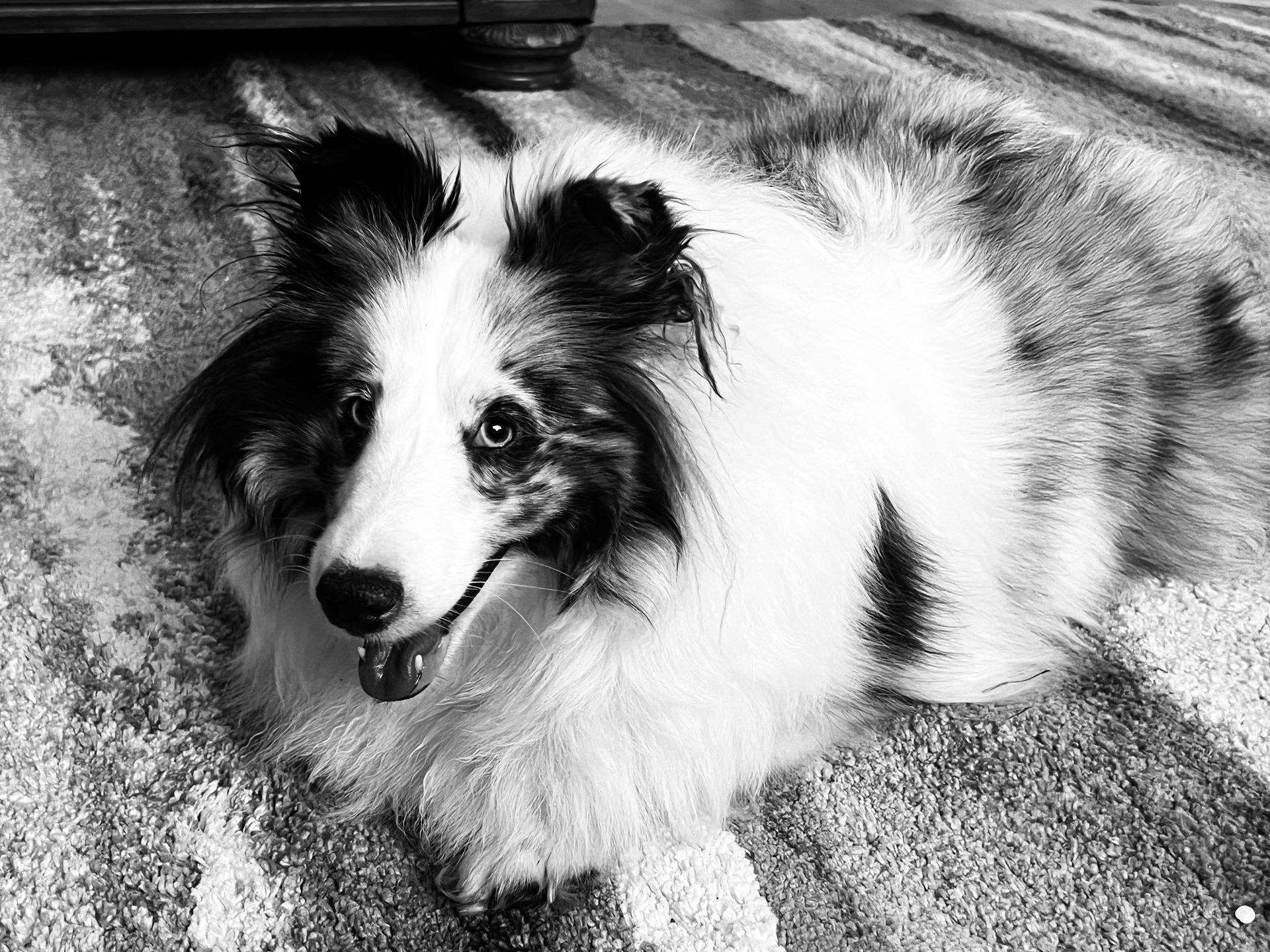 Adventuring through the Canadian Rockies