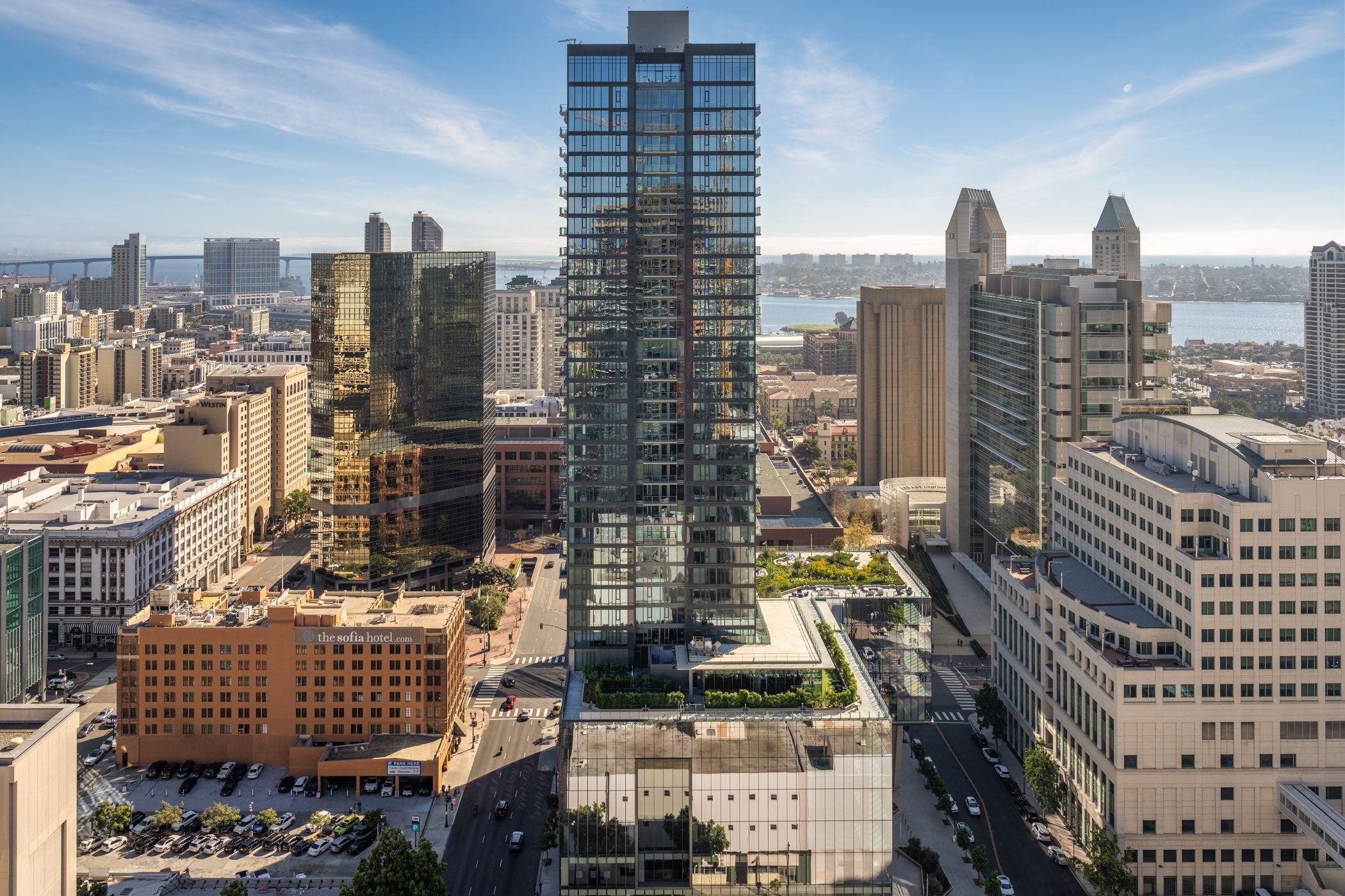 The San Diego Dirt: Issue 01