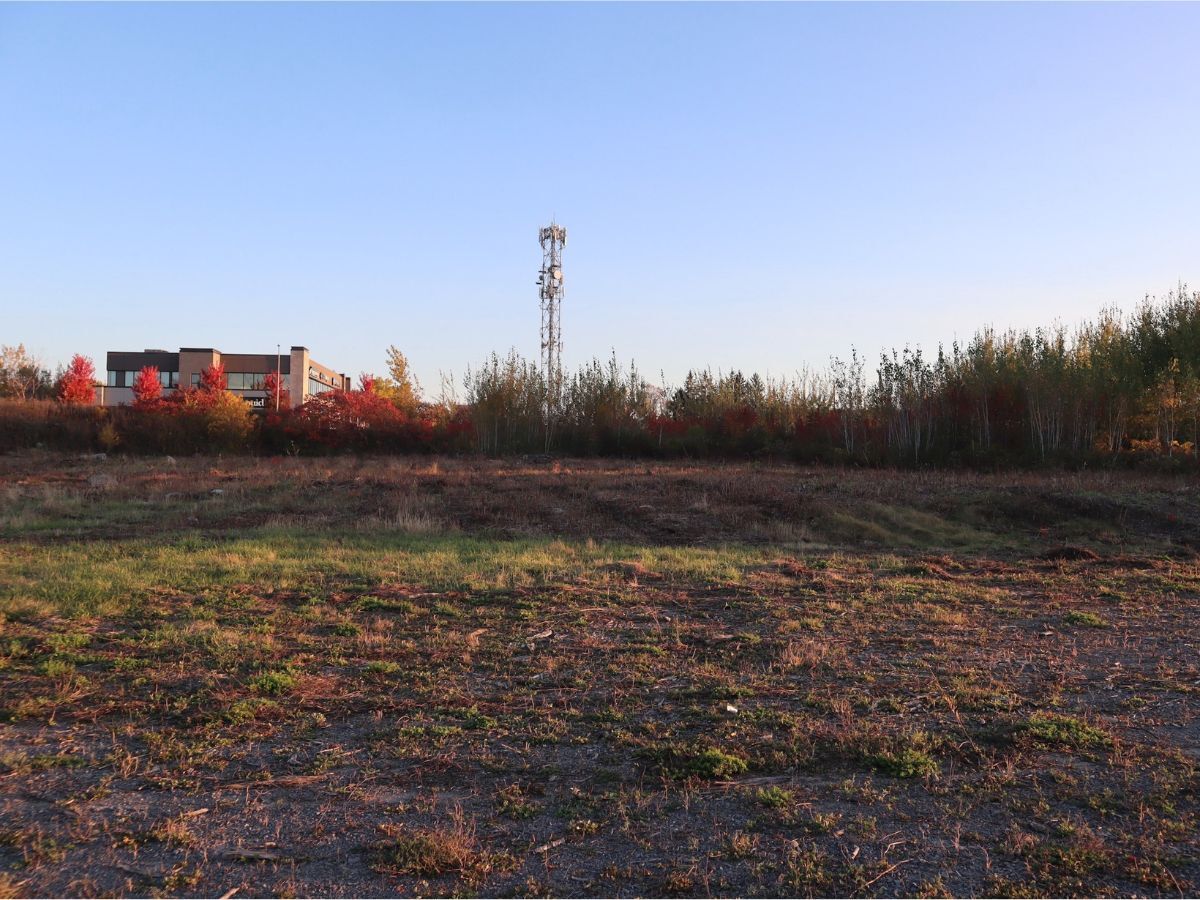 Adventuring through the Canadian Rockies