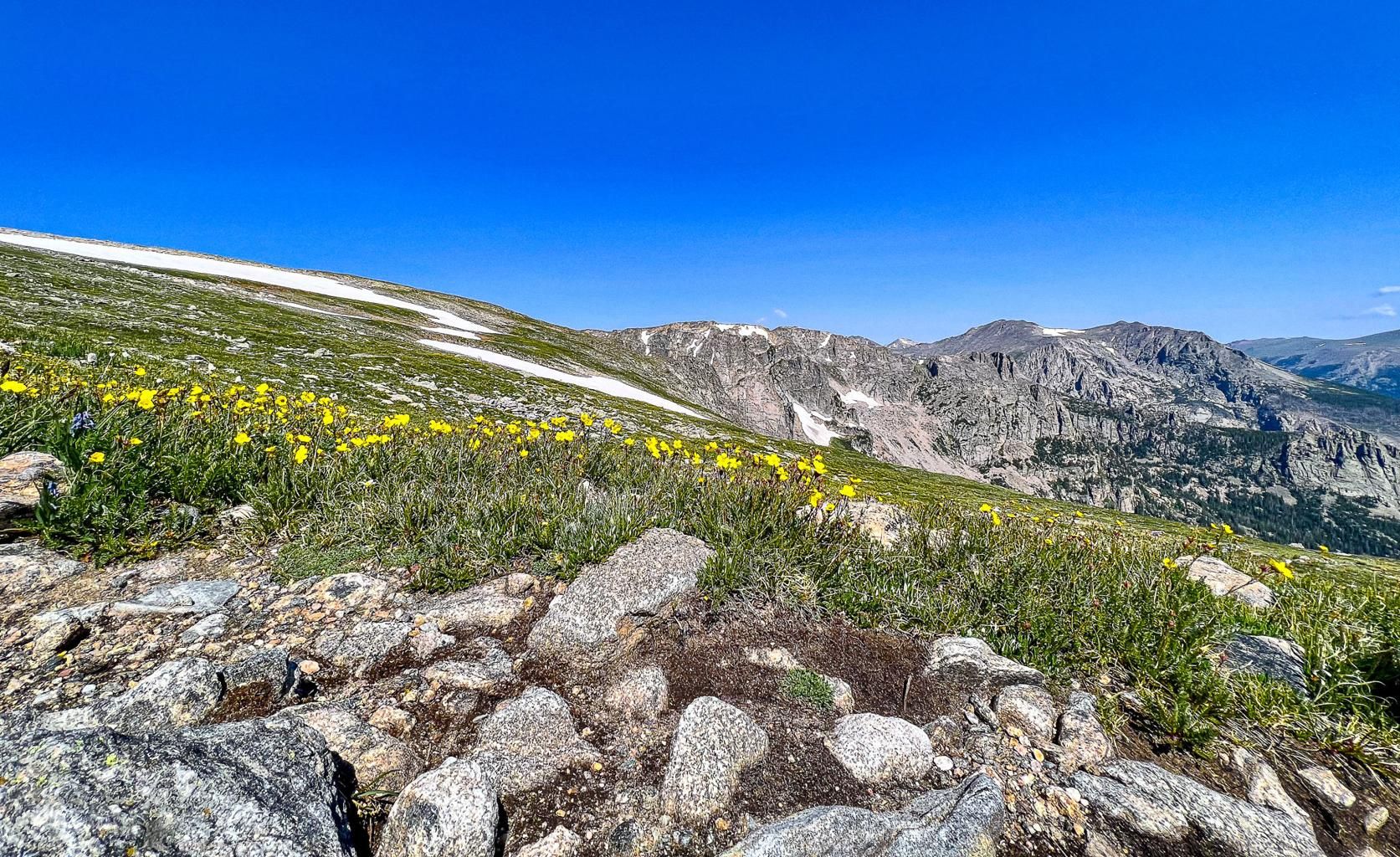 Trail Notes Newsletter: The Sweet Spot Before Summer