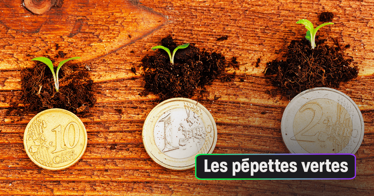 Voilà pourquoi investir dans les arbres est une bonne idée