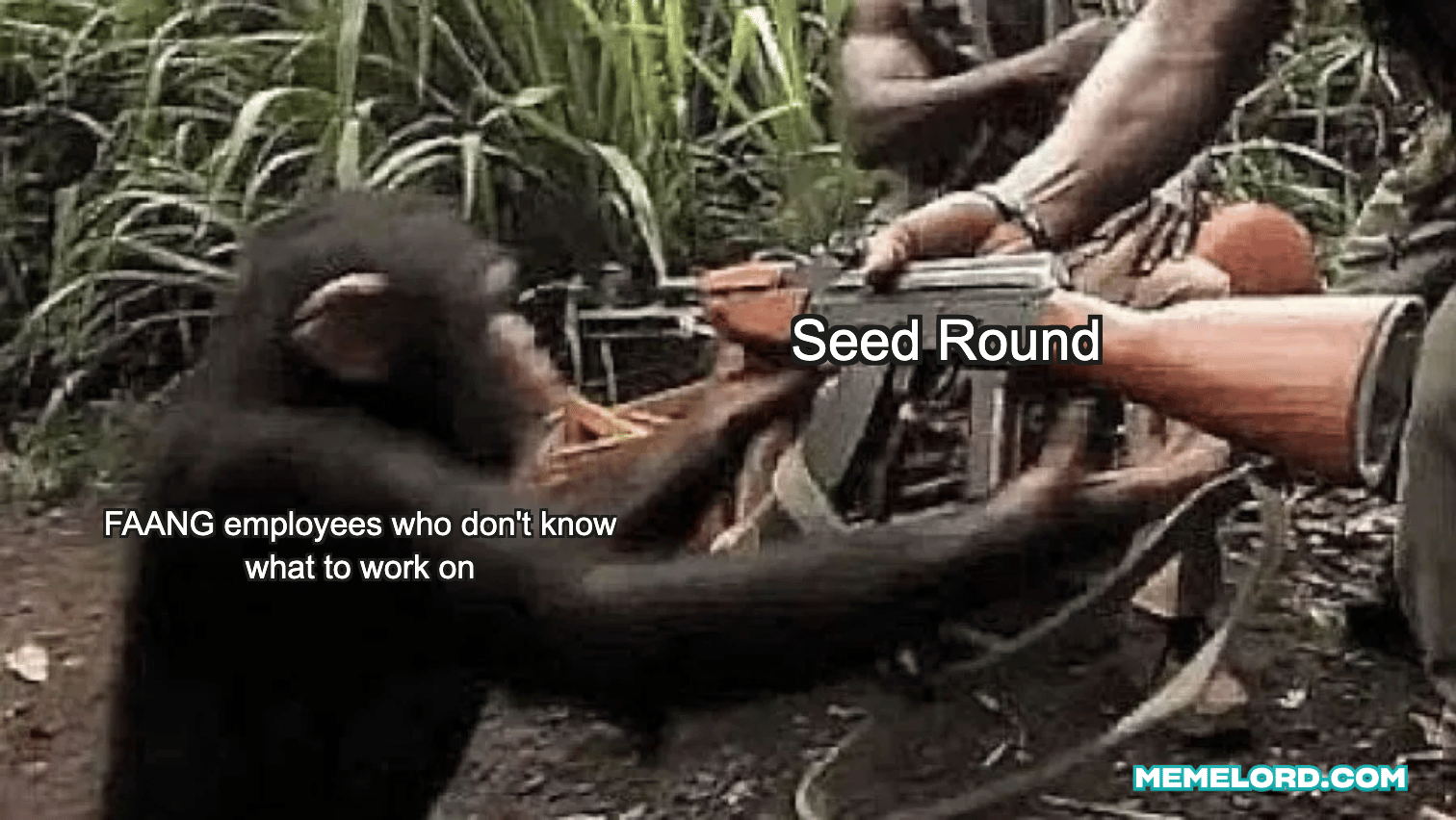 Adventuring through the Canadian Rockies