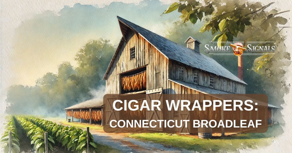 Connecticut Broadleaf: The Robust Wrapper with a Rich Legacy 🍂