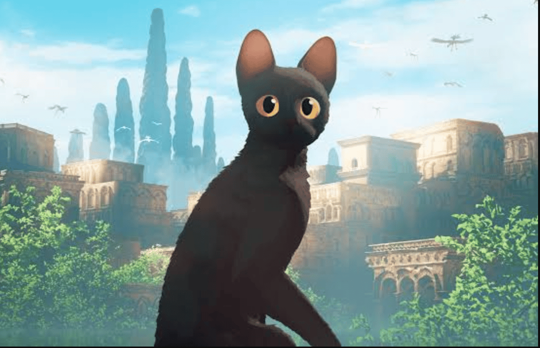 Advice and Indulgences