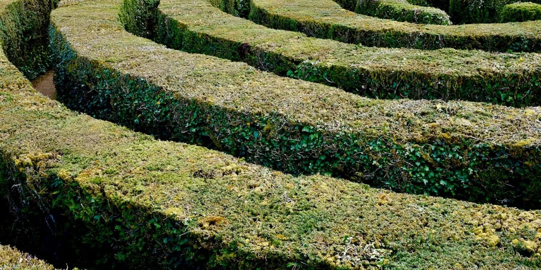 Adventuring through the Canadian Rockies