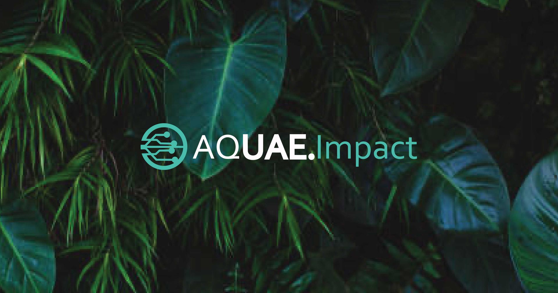 AQUAE Impact Year End Newsletter 2025 | From the CEO’s Desk