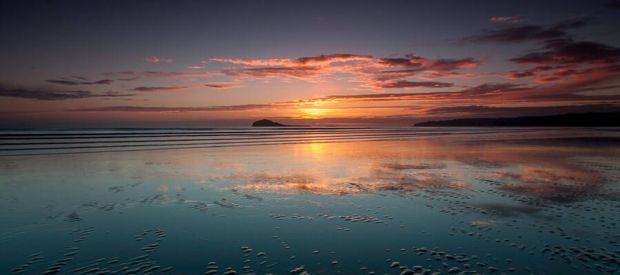 Fingal East Media: 19th - 25th Jan 2026