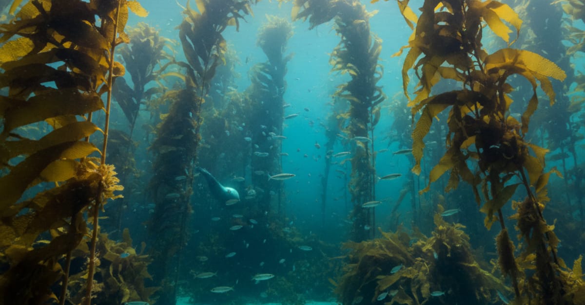 EU Green Deal: The Regulatory Tailwind No One's Pricing In