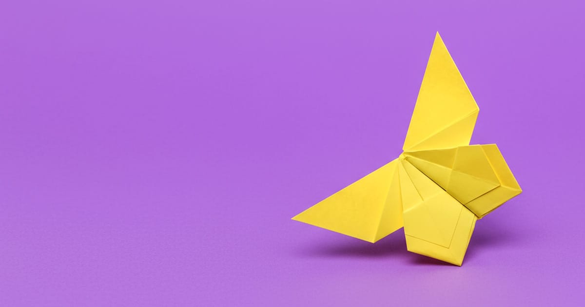 Adventuring through the Canadian Rockies