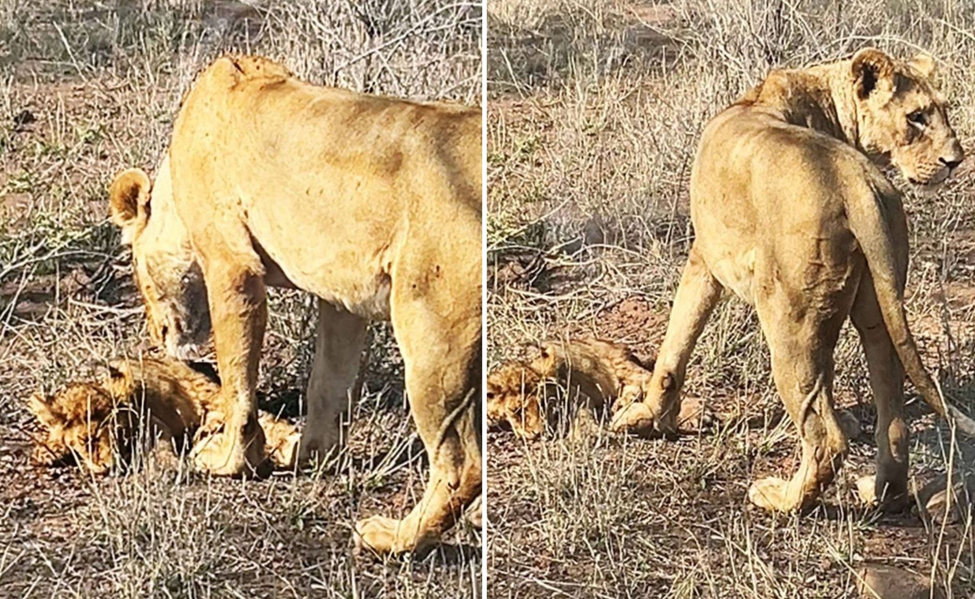 Adventuring through the Canadian Rockies