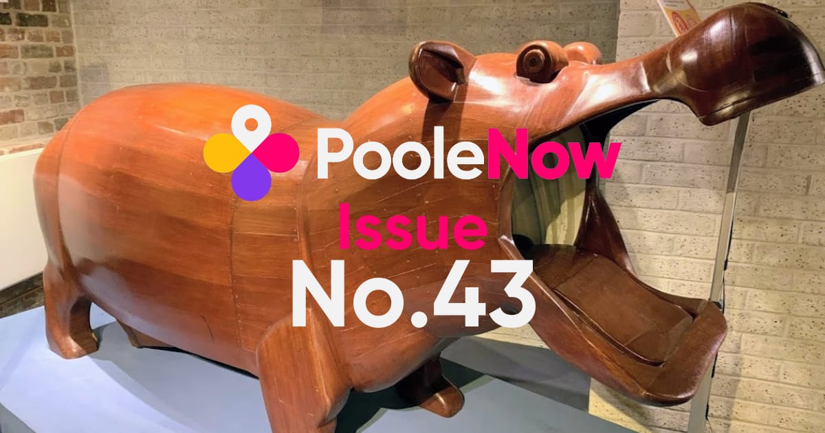 🌊Issue No.43: Time Team, Town Pass, Twin Sails update and your weekend plans!