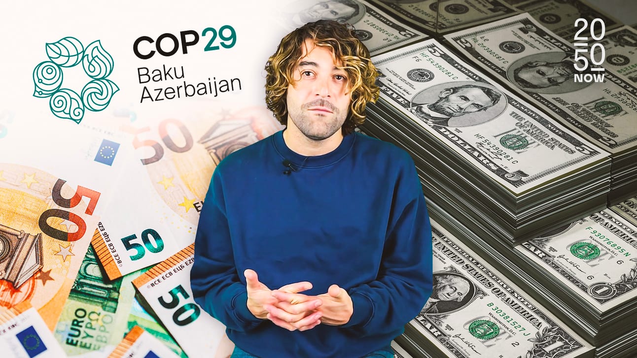 COP 29 : la question du financement