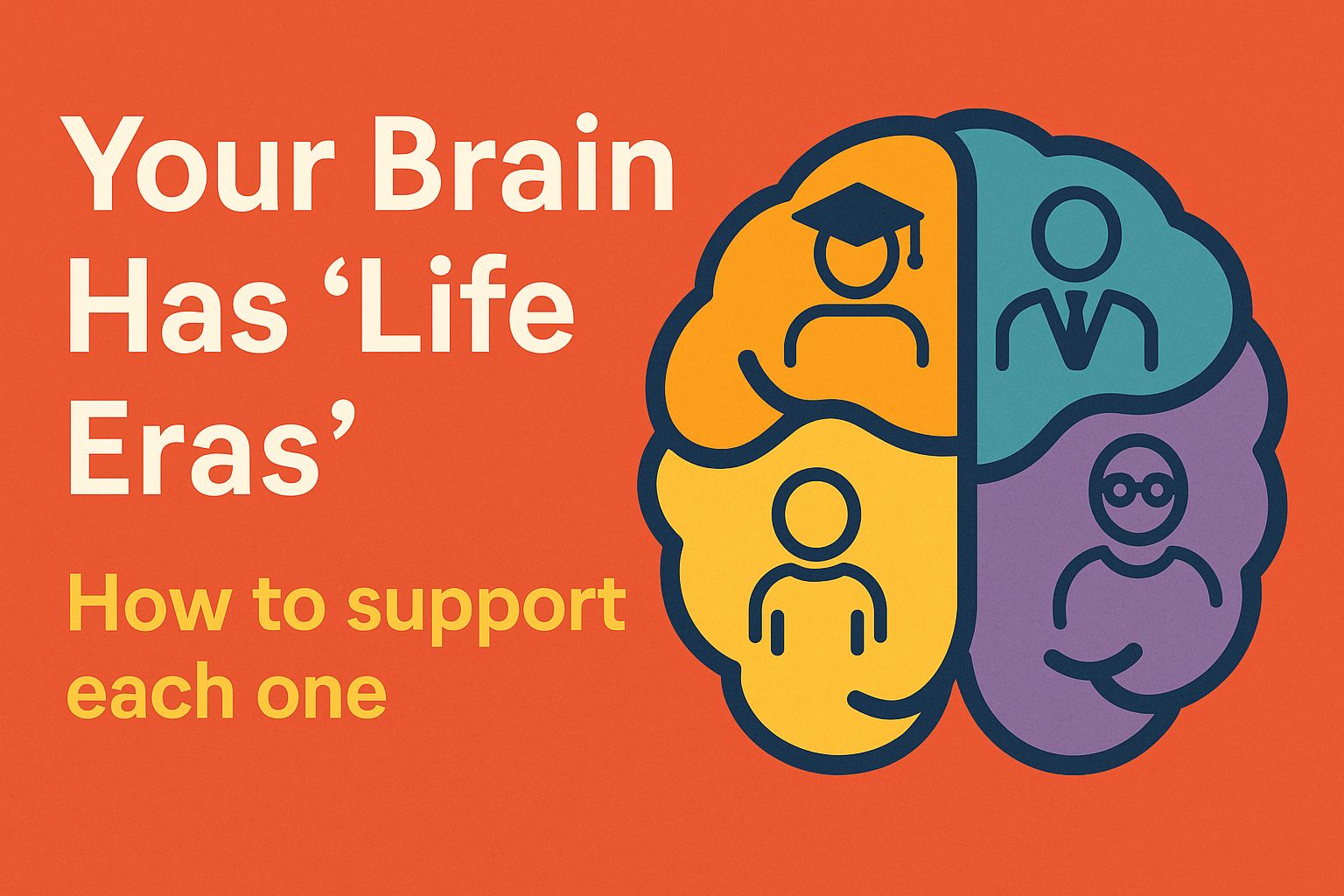 Your Brain Has “Life Eras” — And Each One Needs Different Upkeeping 🧠