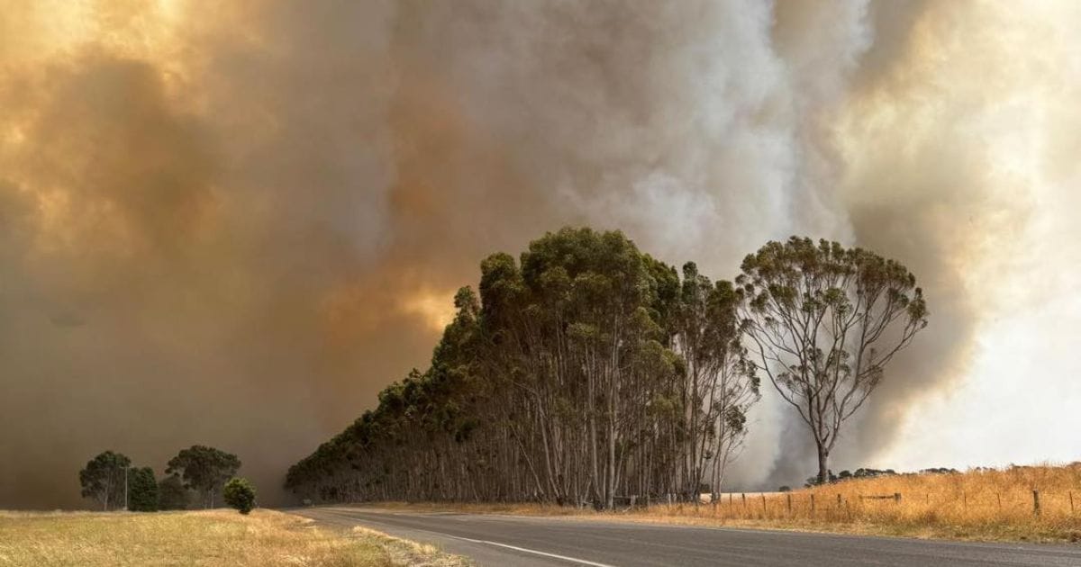 “This is ridiculous”: Calls for urgent overhaul of Victorian emergency systems after January fires