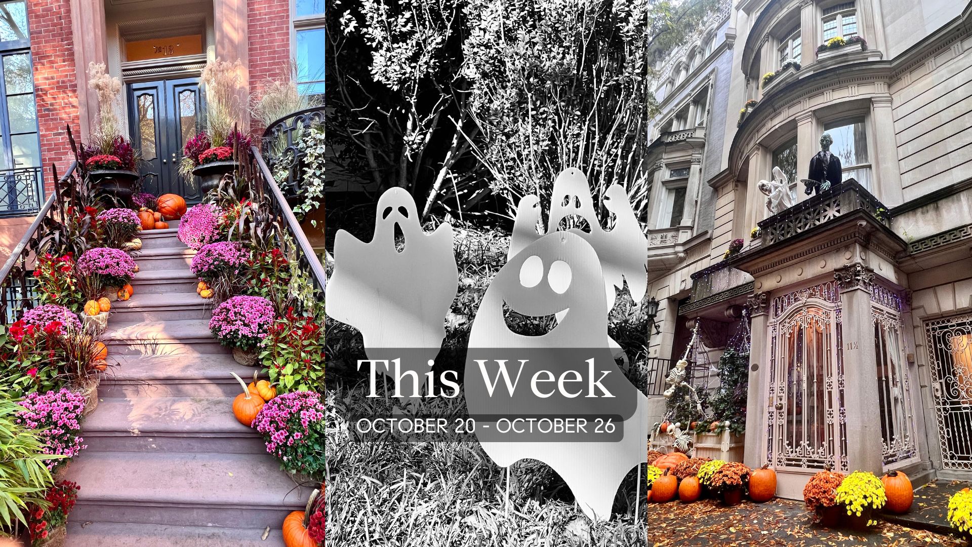 Adventuring through the Canadian Rockies