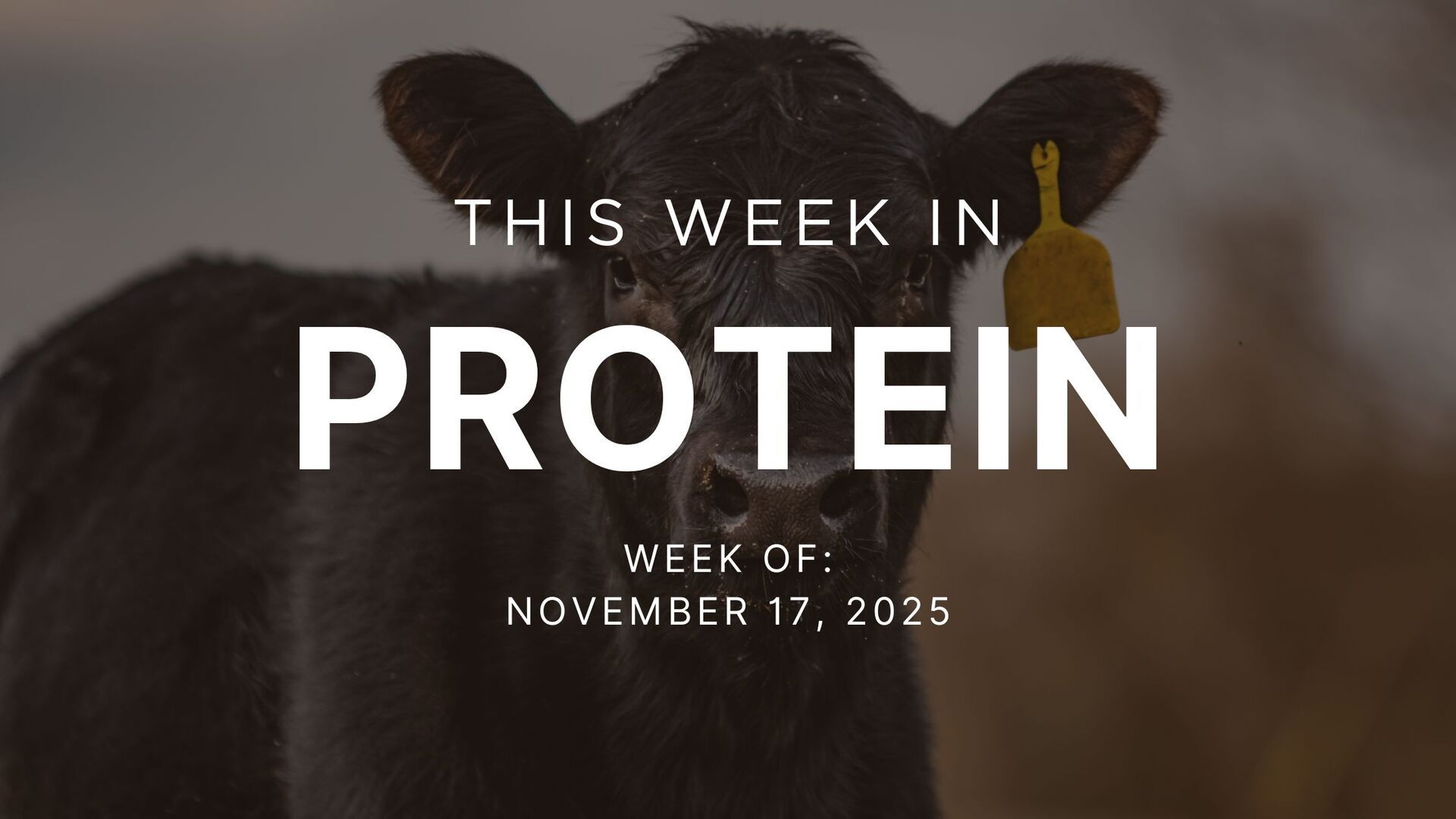 Adventuring through the Canadian Rockies