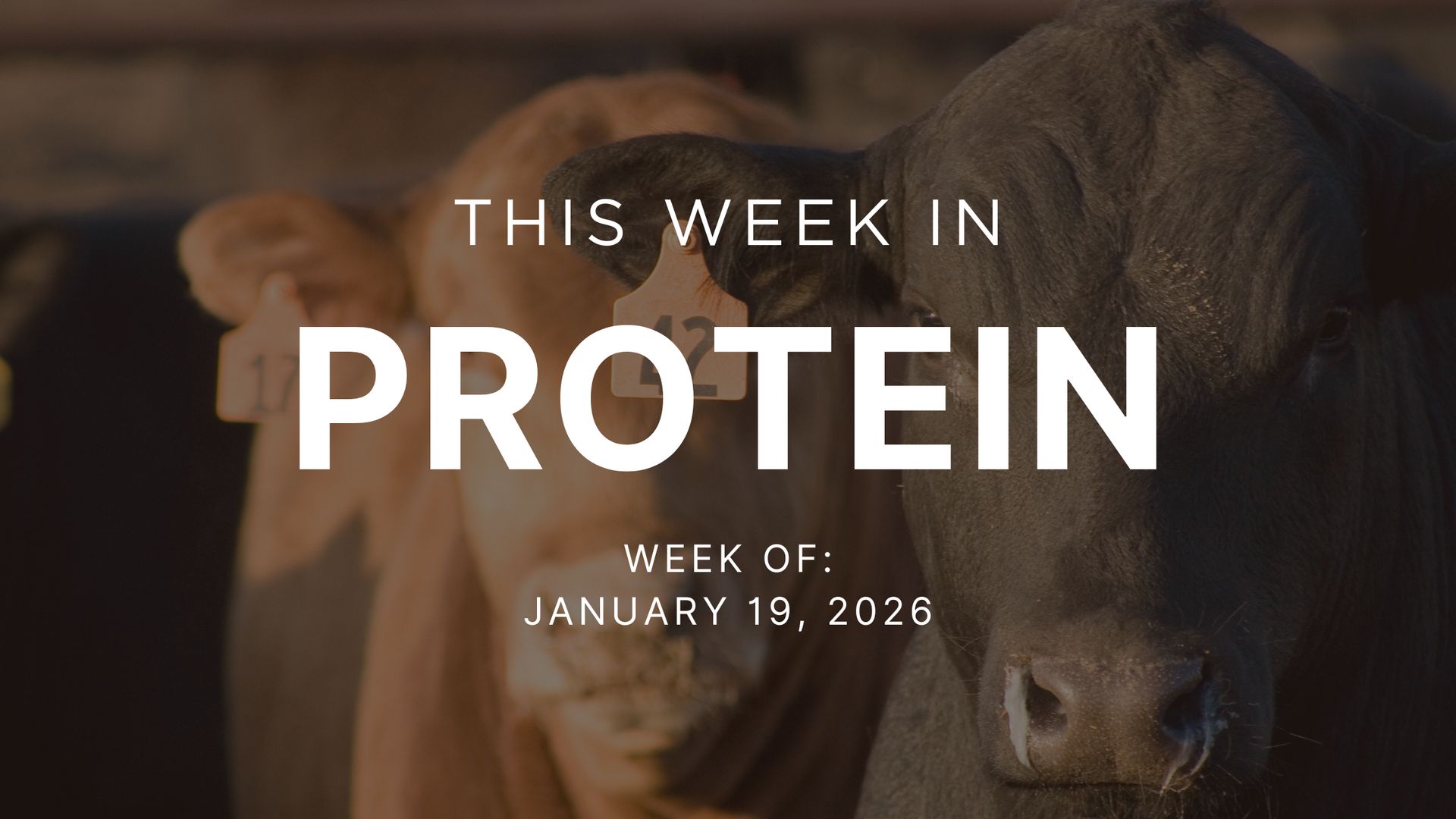 Adventuring through the Canadian Rockies