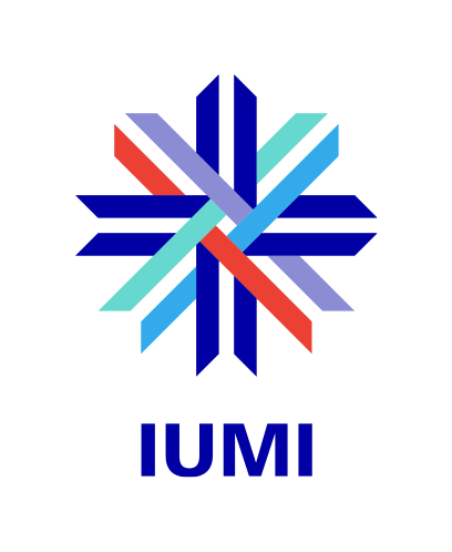 IUMI-Stats-Report-2025-2.pdf