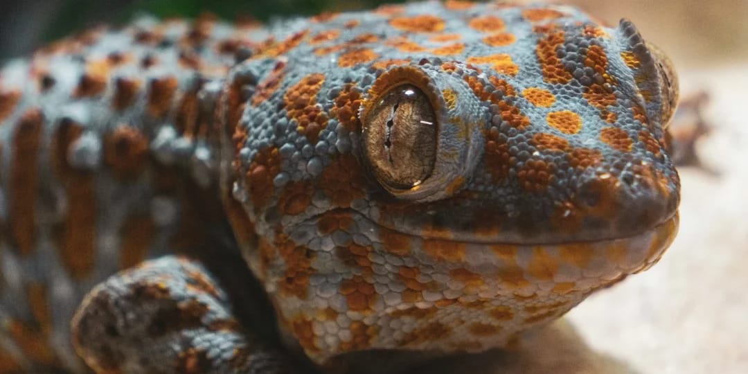 Adventuring through the Canadian Rockies